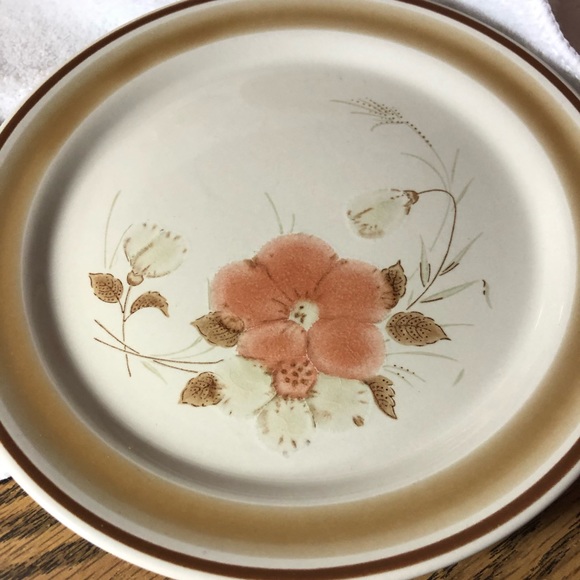 Water Colors Hearthside Blush stoneware salad plates - set of 4 - Picture 2 of 8